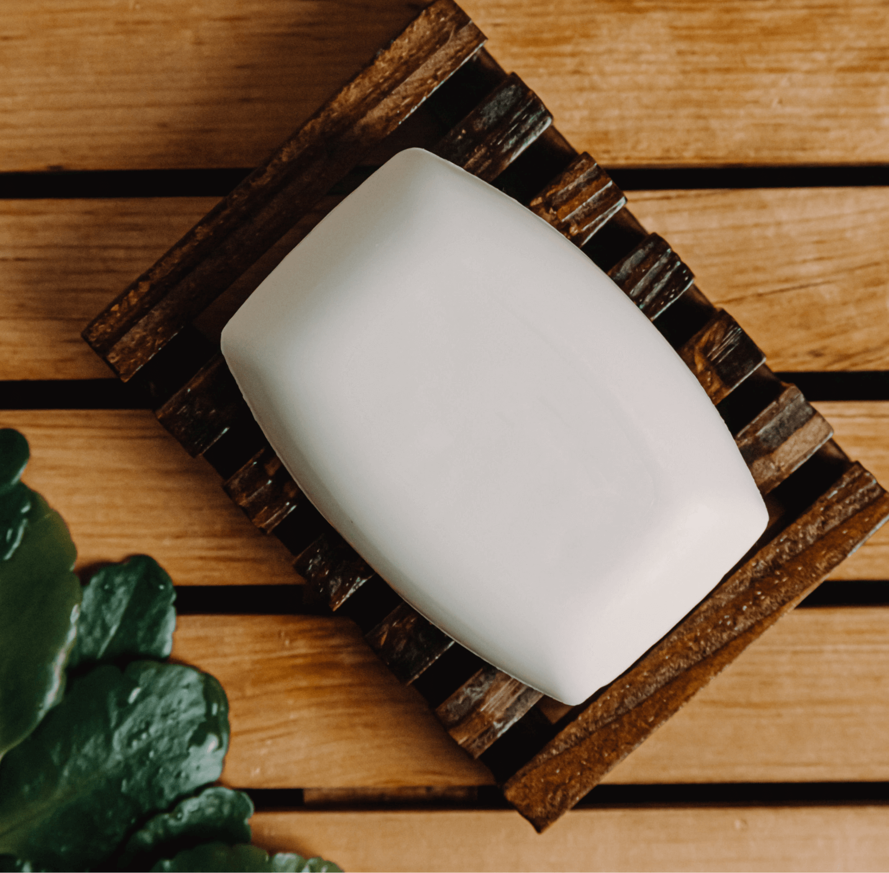Coconut
